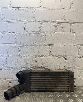 Peugeot Partner Intercooler radiator 874964G