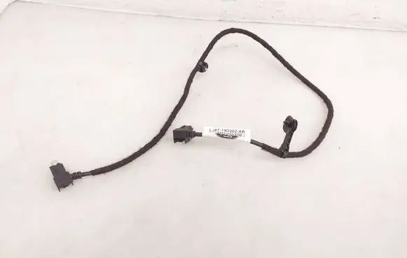 Ford Mustang Mach-E Other wiring loom LJ8T14D202AD