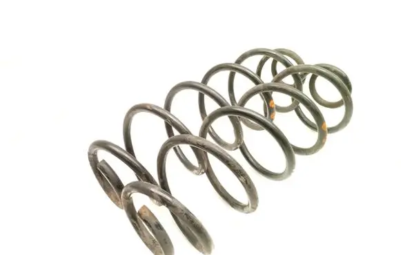 Rear coil spring
