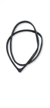 Hyundai Ioniq Front door rubber seal 