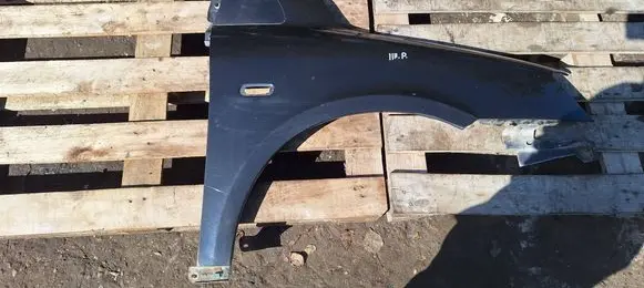 Fiat Multipla Fender
