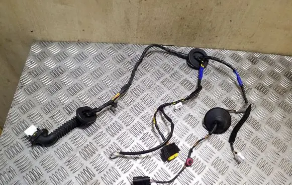 KIA Sorento Rear door wiring loom 916502P091