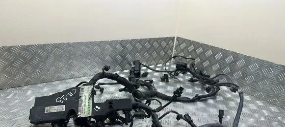 Engine installation wiring loom