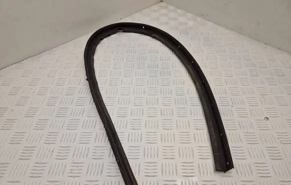 DS Automobiles 4 II Front door rubber seal 