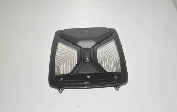 BMW 5 G30 G31 Front seat light 9875355 61319875355 9890257