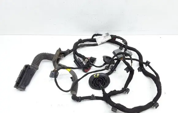 Front door wiring loom