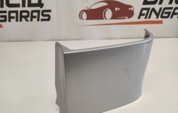 Rear/tail light trim molding