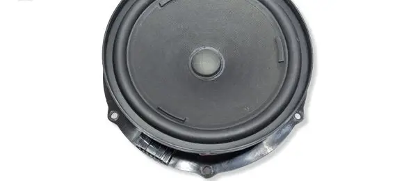 Volkswagen PASSAT B8 Front door speaker 3G0035454