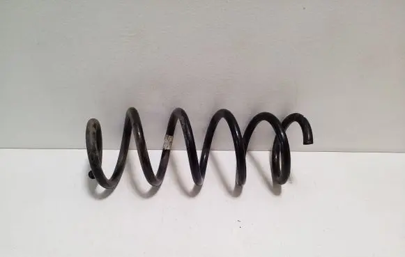 Front coil spring