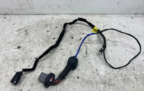 KIA Picanto Rear door wiring loom 91630-G6560