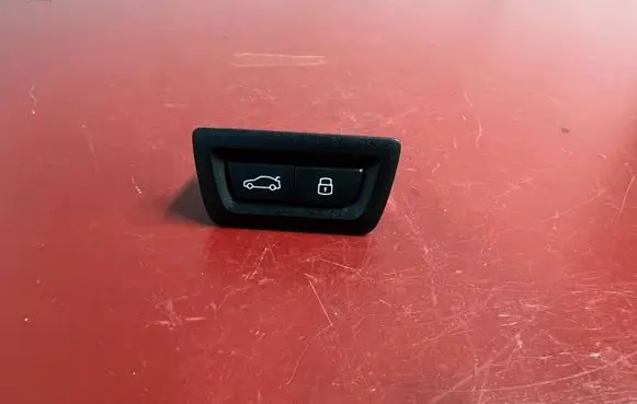BMW X1 U11 Tailgate/boot open switch button 5A1B301 61315A1B301