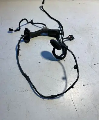 Volkswagen ID.3 Rear door wiring loom 4L0971841P