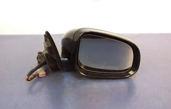 Jaguar XF X250 Front door electric wing mirror 3303050