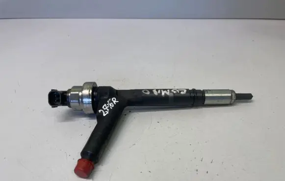 Opel Combo C Fuel injector 8973138613
