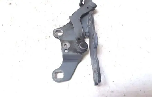 BMW X1 E84 Engine bonnet/hood hinges 7115263