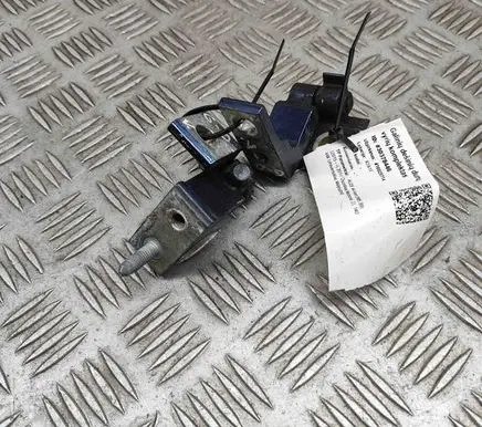 Audi A4 S4 B9 8W Rear door hinge set 8W0831404A
