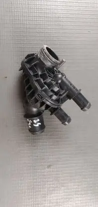Thermostat/thermostat housing