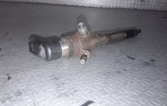 Renault Scenic III - Grand scenic III Fuel injector 166006212R H8201100113