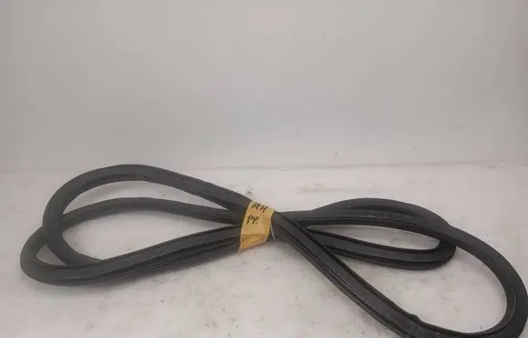 Opel Ampera Front door rubber seal 