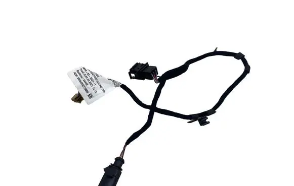 Cupra Born Other wiring loom 10E971154A