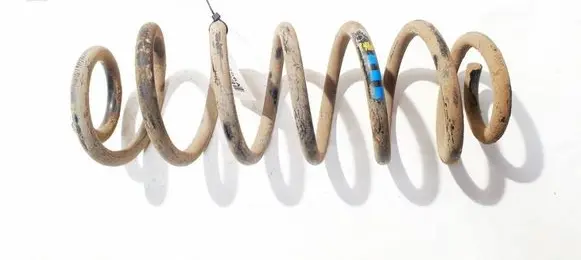 Rear coil spring