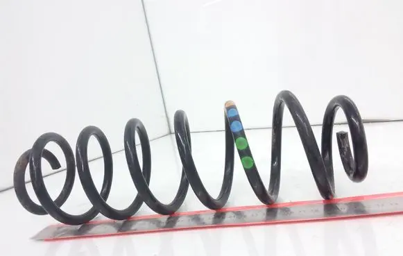 Skoda Fabia Mk3 (NJ) Rear coil spring