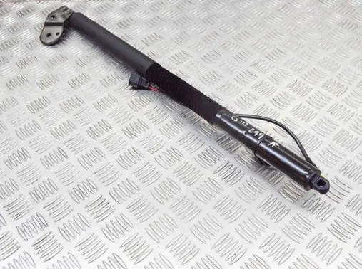 Tailgate/trunk strut/damper