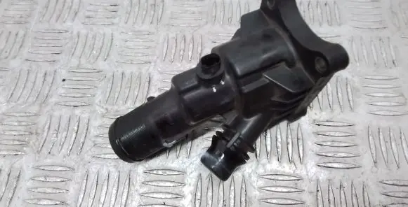 Thermostat/thermostat housing