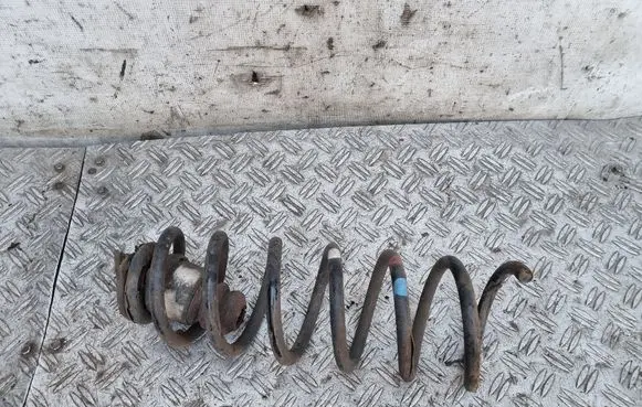 Rear coil spring