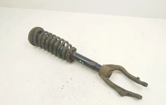 Honda Accord Front shock absorber with coil spring