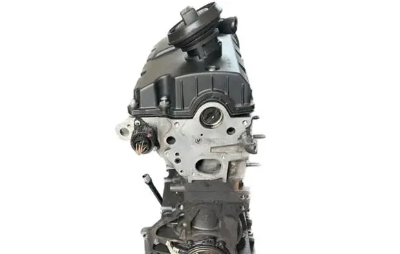 Volkswagen Golf V Engine BXE