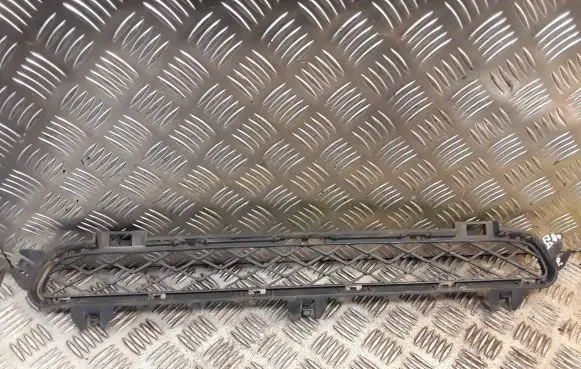 BMW X3 F25 Front grill 7210466