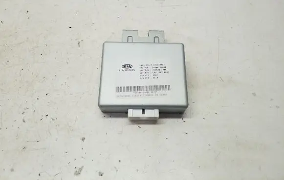 KIA Sportage Other control units/modules 953003U000 4918J01000