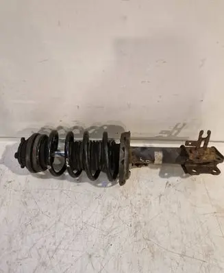 Opel Zafira B Front shock absorber with coil spring 22214013 24466543 368135153