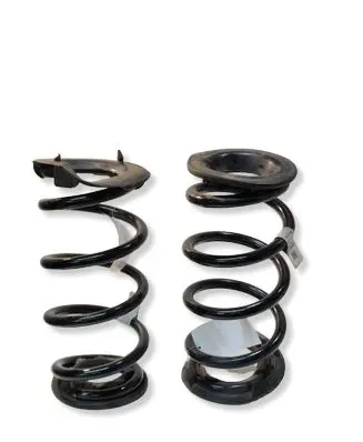 Tesla Model 3 Rear coil spring 104447204A
