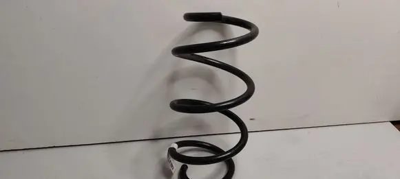 Ford Mustang VI Front coil spring E29EJ L22112024 PR3C5310