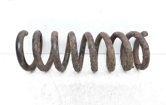 Rear coil spring