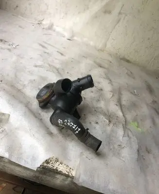 Thermostat/thermostat housing