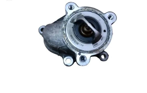 Thermostat/thermostat housing