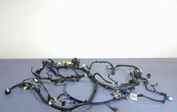 Other wiring loom
