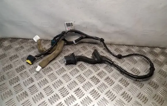 Rear door wiring loom