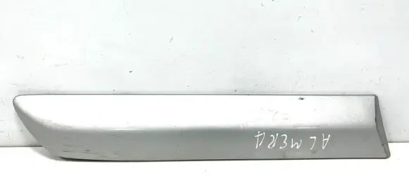 Rear door trim (molding)