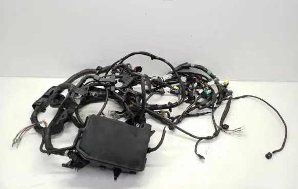 Toyota Prius+ (ZVW40) Fuse module