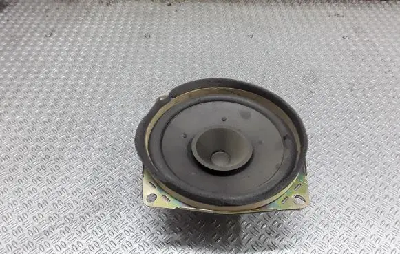 Rear door speaker