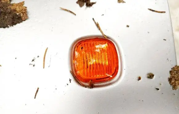 Front fender indicator light