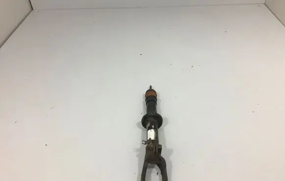 Front shock absorber/damper