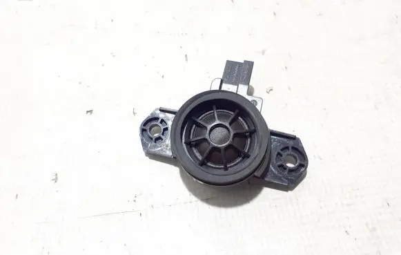 Front door speaker