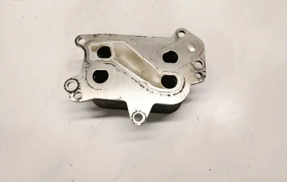 Oil filter mounting bracket