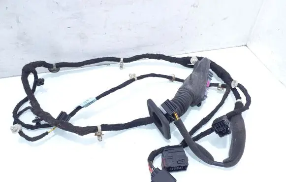 Chevrolet Orlando Front door wiring loom 95907218