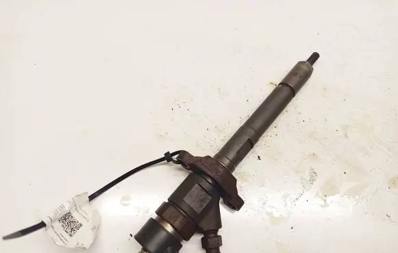 Citroen C5 Fuel injector 0445110259